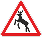 Дорожный знак «Дикие животные»