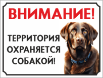 Табличка «Территория охраняется собакой»