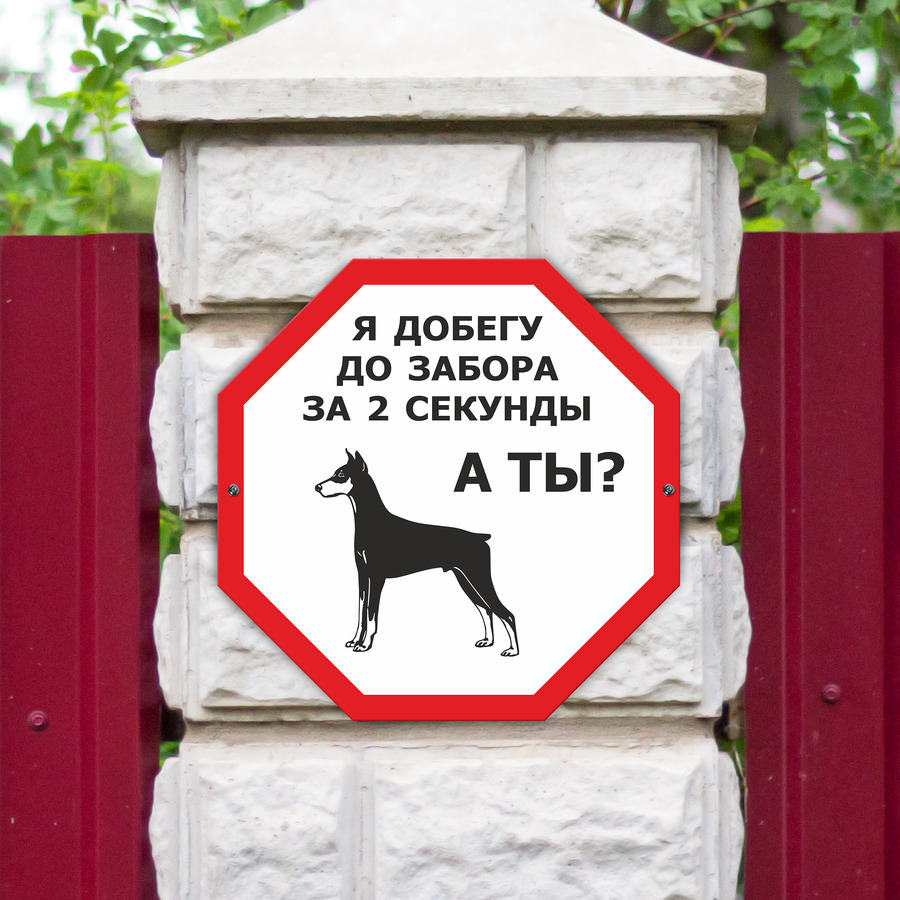 Добежав до забора собака опять мгновенно разворачивается. Табличка я добегу до забора за 2 секунды. я добегу до забора за 2 секунды а ты табличка на забор. табличка для собак я добегу до забора за 2 секунды. юмор собаки добегу до забора.