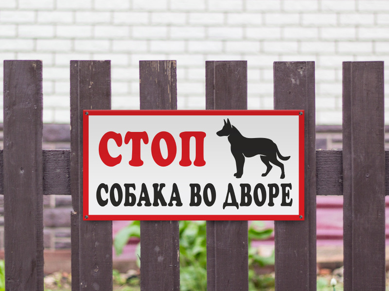 Вывески во дворе. Табличка на забор. Во дворе собака табличка. Таблички на забор про собак. Злая собака на заборе.