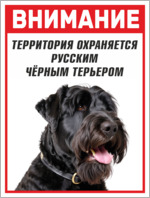 Табличка «Охраняется русским чёрным терьером»