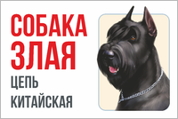 Табличка «Собака злая, цепь китайская» ризеншнауцер