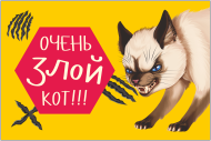 Табличка «Очень злой кот»