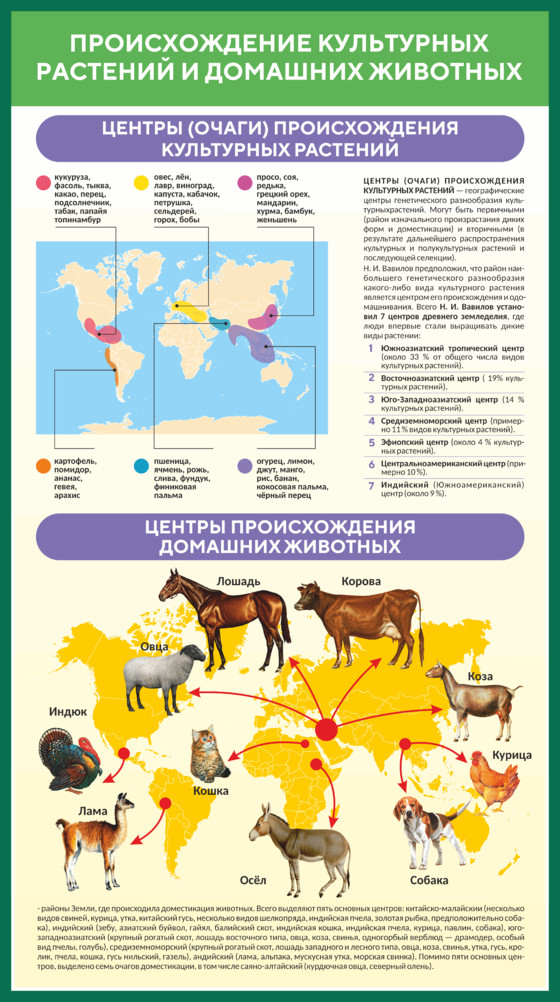 Схема одомашнивания животных