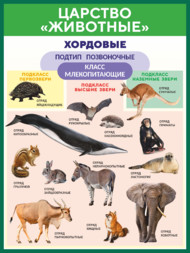 Стенд по биологии «Царство «Животные»