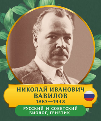 Стенд Портрет Николай Иванович Вавилов