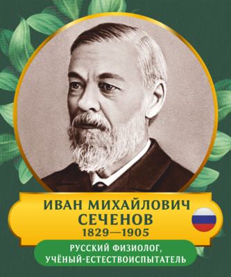 Стенд с портретом Иван Михайлович Сеченов