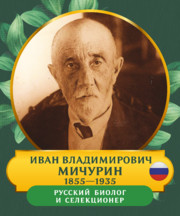 Стенд-портрет «Иван Владимирович Мичурин»