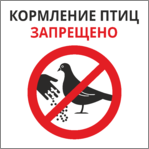 Табличка «Кормление птиц запрещено»