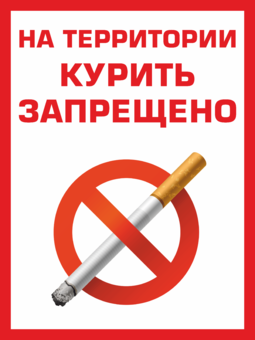 Наклейка На территории курить запрещено