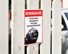 Табличка с черным русским терьером