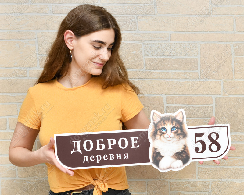 Табличка с забавным котиком